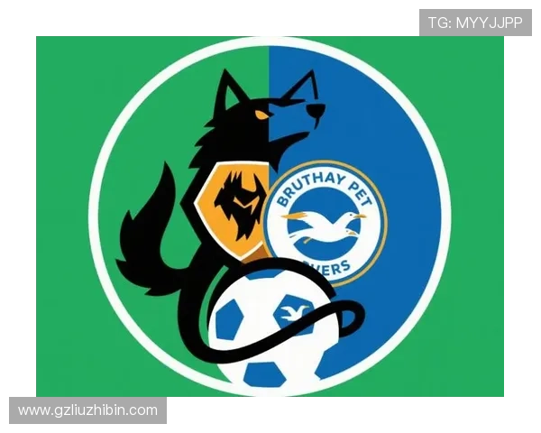 布莱顿足球俱乐部崛起之路:从英格兰南部小城到全球瞩目的英超劲旅 布莱顿足球俱乐部崛起之路:从英格兰南部小城到全球瞩目的英超劲旅