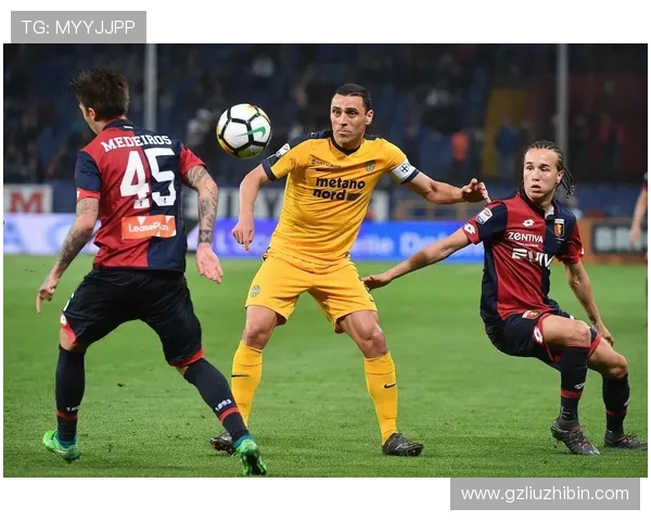 维罗纳俱乐部历史辉煌与挑战并存的足球之路