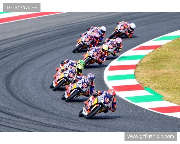 MotoGP赛季最新动态：冠军争夺战激烈，车手表现震撼全场