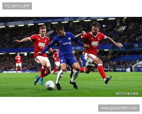 诺丁汉森林俱乐部：辉煌历史与重返英超的崭新征程